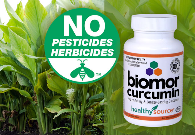 BIOMOR Curcumin is Grown Without Pesticides or Chemicals or GMOs. Click here for more.