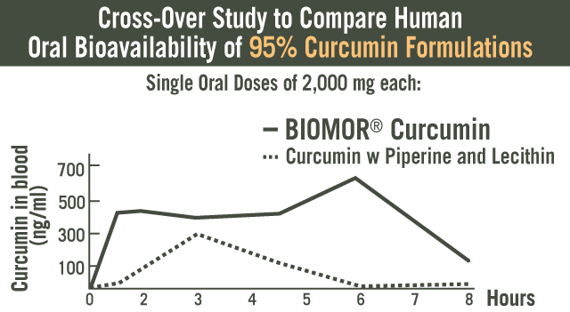 Graph of BIOMOR Curcumin compared with curcumin 95 percent extract blended with piperine and lecithin.